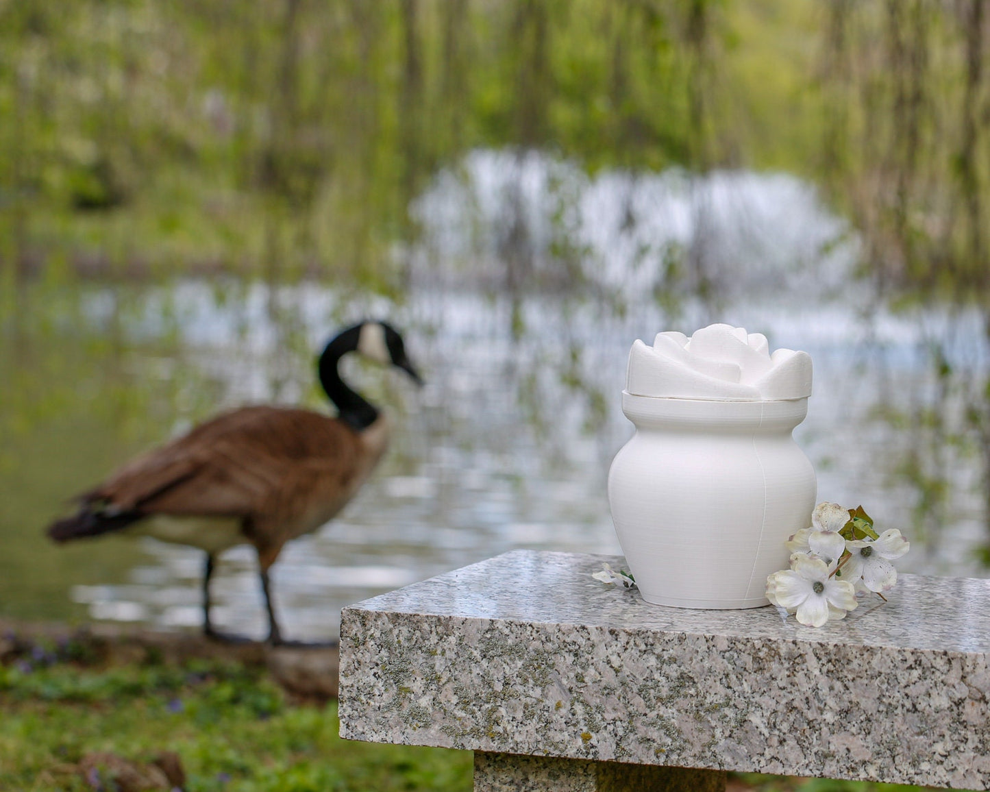 White Biodegradable Urn with Rose Lid