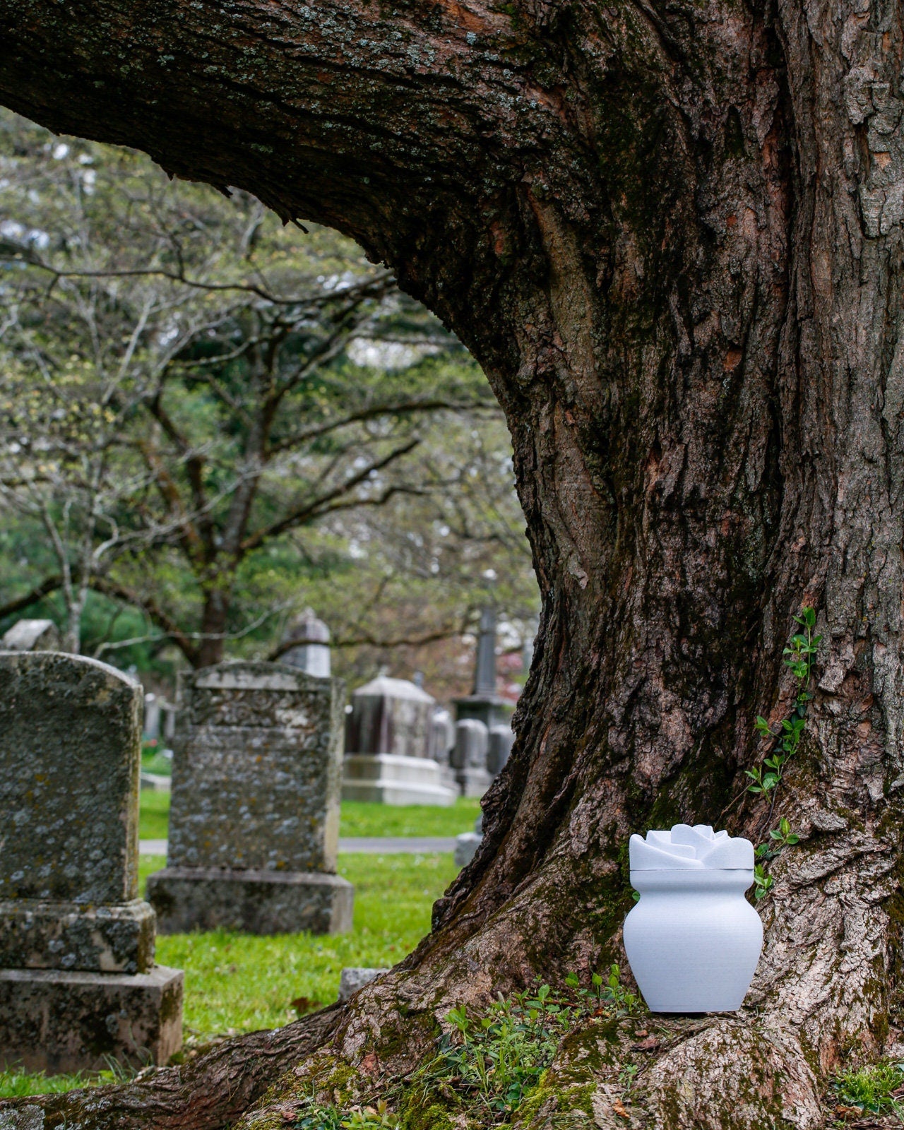 Marble Biodegradable Urn with Rose Lid